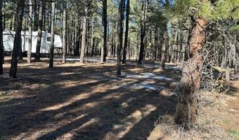 CR N2121, Alpine, AZ 85920