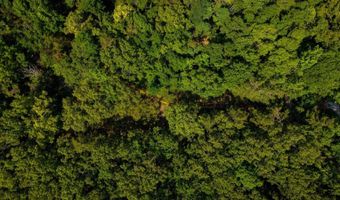 0 County Road 217, Blue Springs, MS 38828