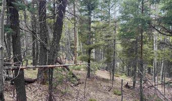 Lot 455 El Camino Real, Angel Fire, NM 87710