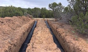 96 CR3041, Concho, AZ 85924