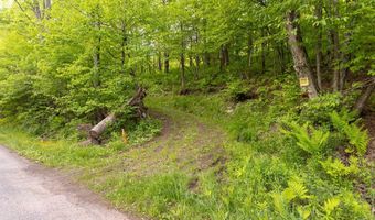 1361 Weaver Hollow Rd, Andes, NY 13731