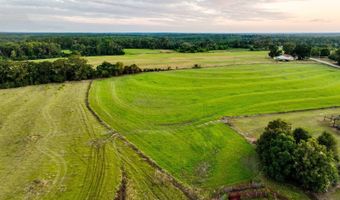 100 Acres Harmony Church Rd, Andalusia, AL 36421