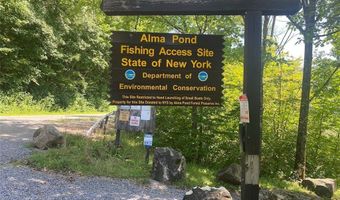 Cr-38, Alma, NY 14708