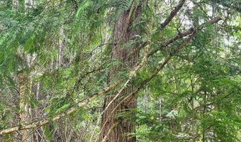 NNA Two Tail Rd, Bonners Ferry, ID 83805