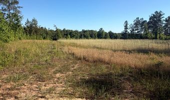 1139 W CR 19, Ariton, AL 36311