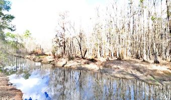 123 Westover Dr, Adel, GA 31620