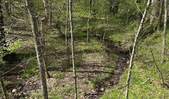 Gladys Road, Altavista, VA 24517