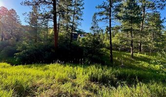 9026 Pine Ave, Beulah, CO 81023