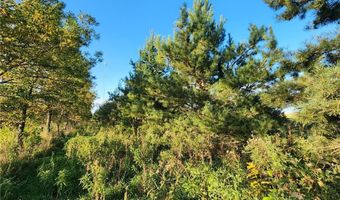 2051 120th St, Balaton, MN 56115