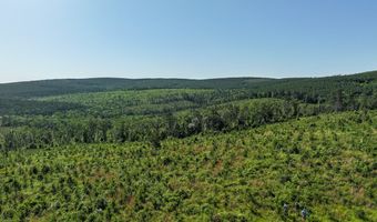 D4289 Road, Antlers, OK 74536