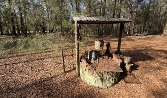 County Road 72, Ariton, AL 36311