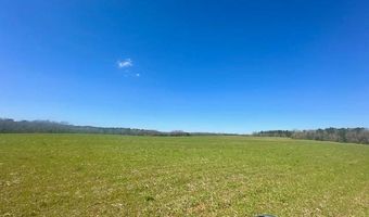 0 Tervin Mill Rd, Andalusia, AL 36421