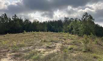 40 Acres Forestry Road 356, Beaumont, MS 39423