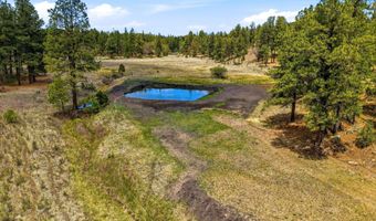 28 County Road 2310, Alpine, AZ 85920