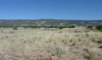 Tract C C-1-A-1-A OF COTTONWOOD, Embudo, NM 87582