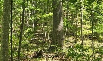 Goose Creek Lane, Ararat, VA 24053