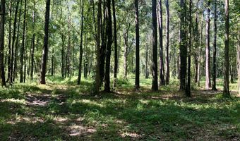337 Weathers Farm Rd, Bowman, SC 29018