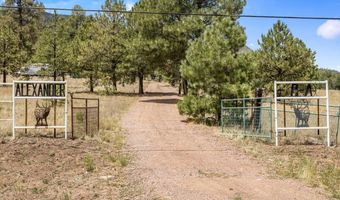 159 Correctional Center Rd, Alpine, AZ 85920