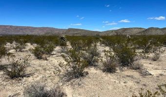 31466 Ringtail Rd, Alpine, TX 79830