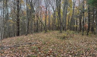 Tbd Rominger Road, Banner Elk, NC 28604