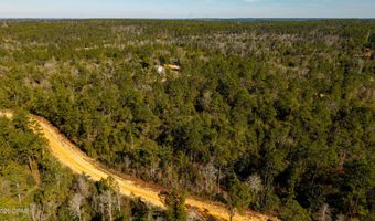 Rossville Avenue, Alford, FL 32420