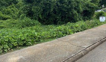 0 Creel Richardson Road Formerly College St, Ariton, AL 36311