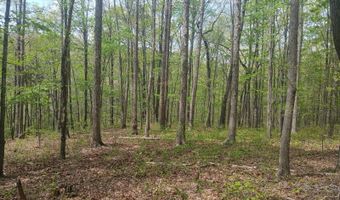 14352 N Hwy 127 Lot 18 Wolf Sub, Albany, KY 42602