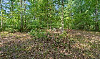 1125 39th St, Allegan, MI 49010