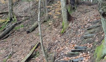 Lot 20 -20.3 Farr Road Lot 20-Lot 20.3 Farr Rd and Lot 11-11-1 Brook St, Chesterfield, NH 03466