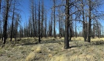 Mahogany Ln, Beatty, OR 97621