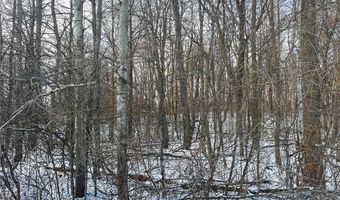 Lot 2 105th Street, Amery, WI 54001