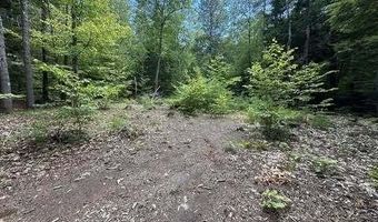 Phen Hill Road lot 32B, Brownfield, ME 04010