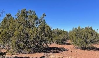 44 County Road 8114, Concho, AZ 85924