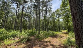 Fox Paw Court, Branchville, SC 29432