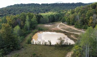 700 Acres Puncheon Creek Ln, Allred, TN 38542