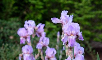 927 CAMINO VISTA RIO, Bernalillo, NM 87004
