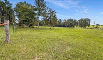 6779 County Road 215, Anderson, TX 77830