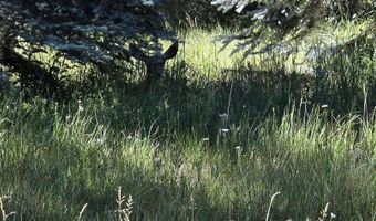 201 Golden Forest Rd, Bayfield, CO 81122