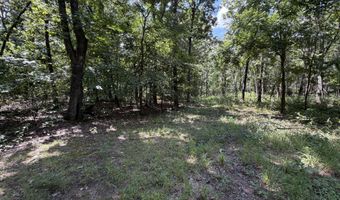 1767 Ff Hwy, Alton, MO 65606
