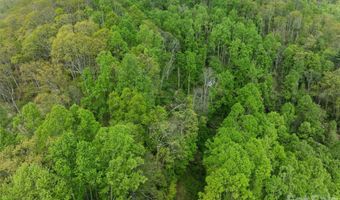 Jacks Knob Road 49, Barnardsville, NC 28709