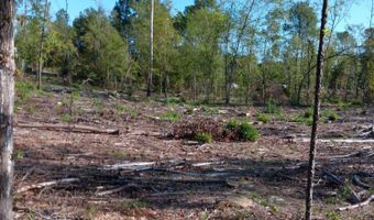 Londe Lane, Barnwell, SC 29812