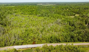 Beech Bluff Road, Beech Bluff, TN 38313