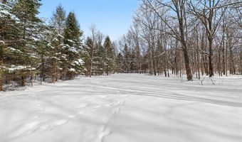 8923 S East Torch Lake Dr, Alden, MI 49612
