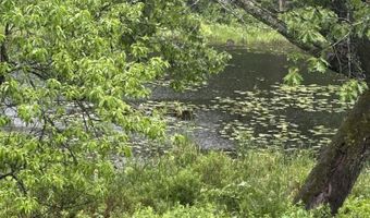 17 Prospect Mountain Rd, Alton, NH 03809