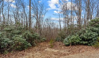 W Pheasant Chase lot 23, Ararat, VA 24053