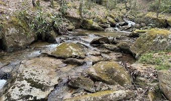 62 Acres Buckeye Ridge Rd, Beech Mountain, NC 28604