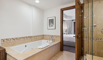 415 E Dean St Unit 12 Week 5, Aspen, CO 81611