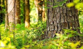 Cypress Pointe Drive lot 4, Brooksville, MS 39739