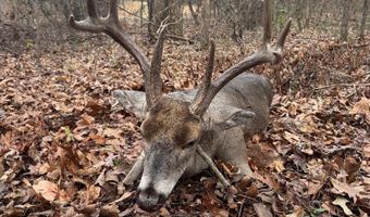 Reeves Road, Ashland, MS 38603