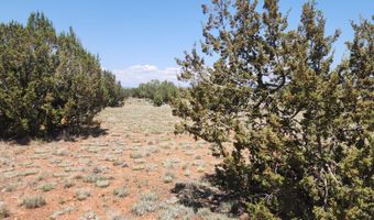 326 W Poppy Rd, Ash Fork, AZ 86320